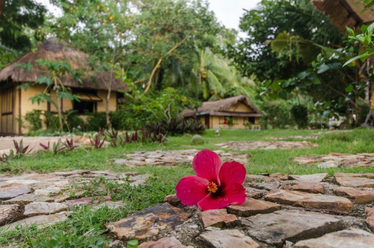 Concepcion Divers Lodge Busuanga Zewnętrze zdjęcie