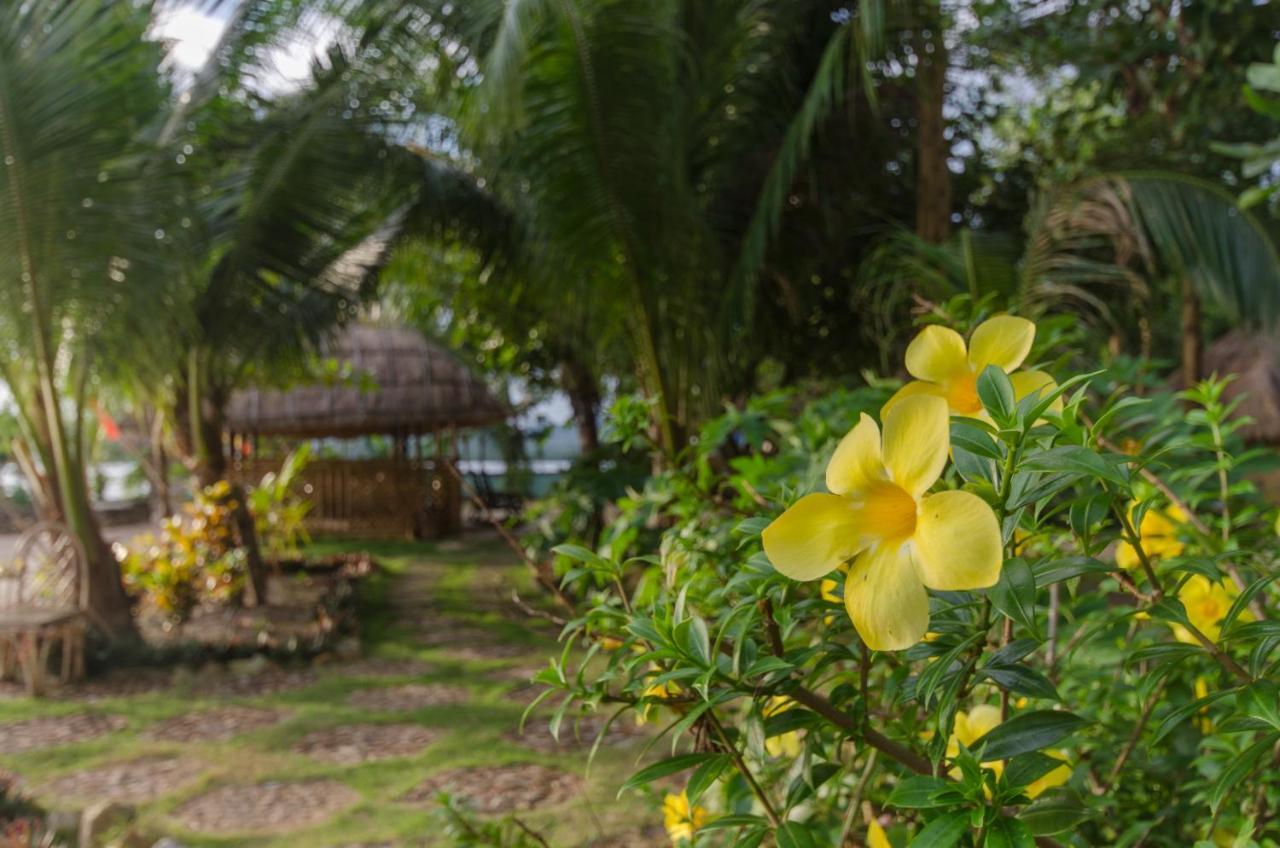 Concepcion Divers Lodge Busuanga Zewnętrze zdjęcie