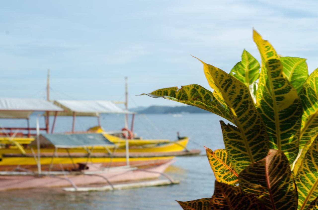 Concepcion Divers Lodge Busuanga Zewnętrze zdjęcie